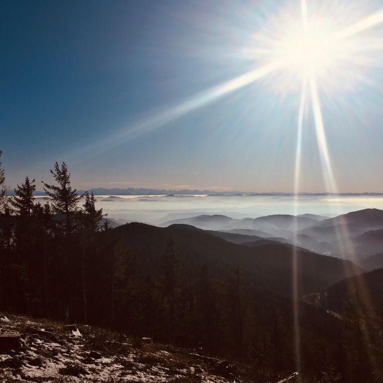 Blick bis zu den Alpen 