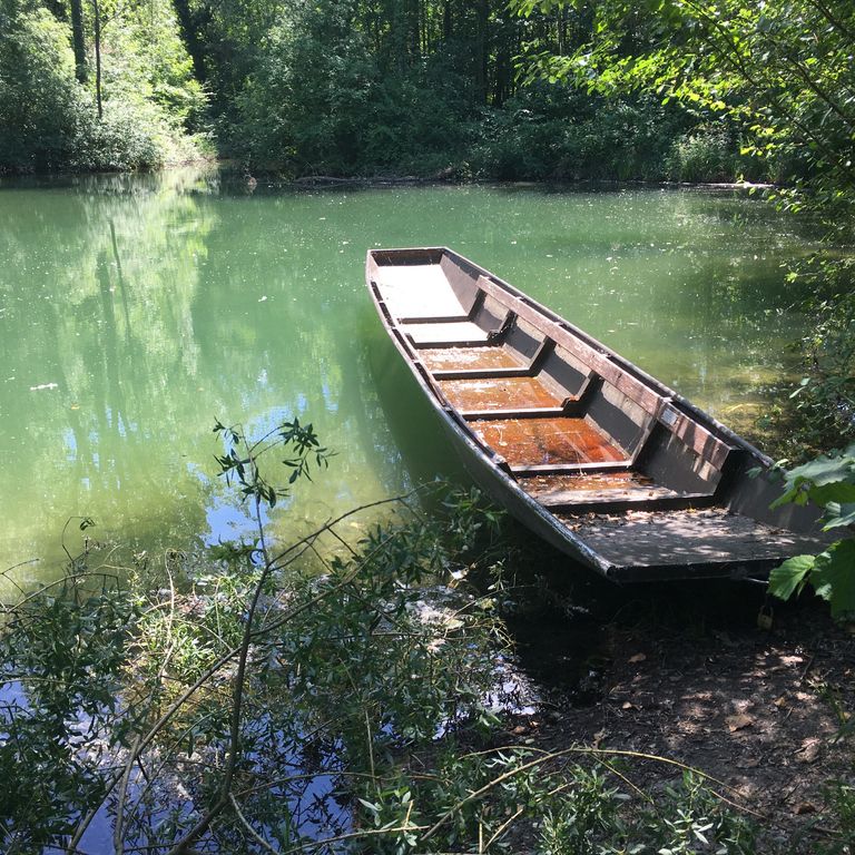 Stocherkahn fahren in Altrheinarmen bei Freiburg